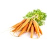 Danvers 126 Carrot Seeds, 2000+ Heirloom Seeds Per Packet, (Isla's