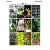 Impremade 24W Plant Growing Light, 36° Illumination Angle, LED, Plant