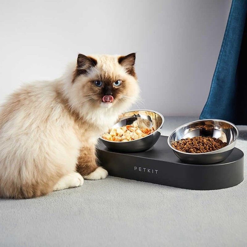 Petkit Fresh Nano Feeding Bowl, Multicolor