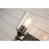 Lucas + McKearn Lighting Collection BB1022DB-1-F1G Vetiver Bathroom Vanity Light