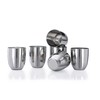 Vinod Premium Stainless Steel Glass Set of 6 - Premium