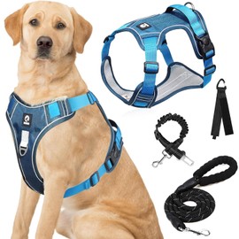 Pechera para Perro Extra Grande, con Correa para Perro 2 m, Cinturon de Seguridad para Perro Coche, cinturón de Almacenamiento, Arnés para Perro para Paseo, Viaje y Entrenamiento (Azul, XL)