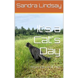  It's a Cat's Day: Photos of six cats at home