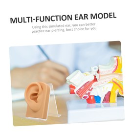Baluue 3sets Decorative Ear Model for Jewelry Display Multi-function Earring Holder Stand Right Ear Design for Piercing Practice and Cleaning Exercises