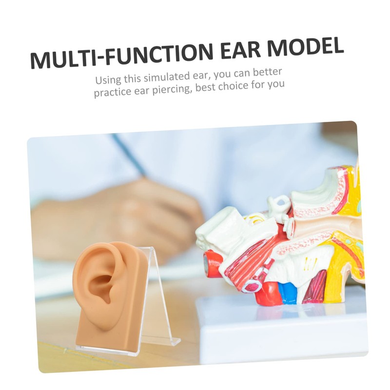 Baluue 3sets Decorative Ear Model for Jewelry Display Multi-function Earring