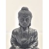 CRYSTAL HEAVEN Shungite Carved Polished Buddah, an ancient Crystal/Stone with