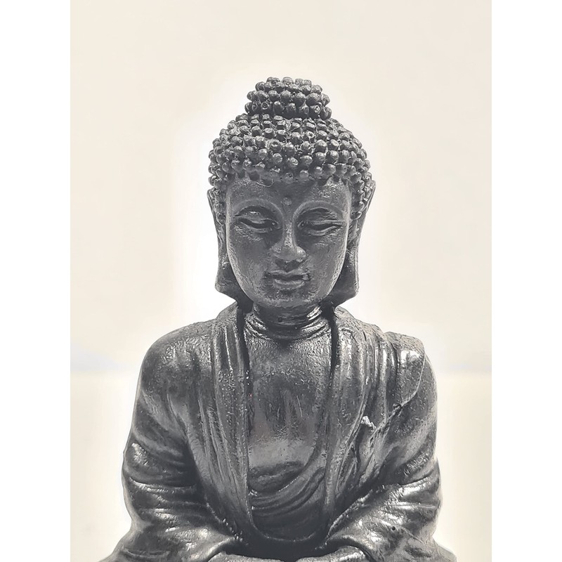 CRYSTAL HEAVEN Shungite Carved Polished Buddah, an ancient Crystal/Stone with