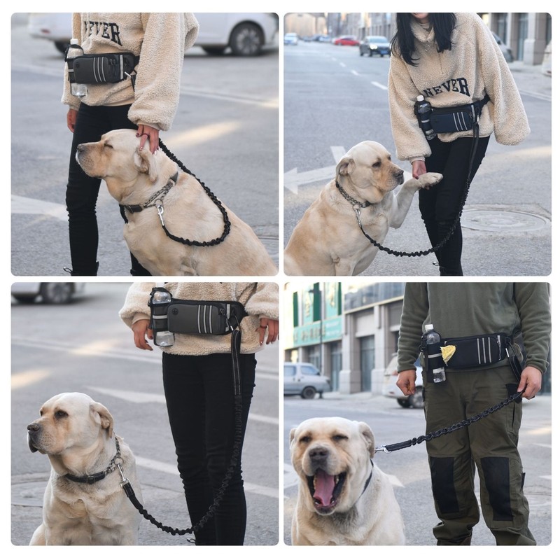 Dog Hands Free Leash with Zipper Pouch Water Bottle Holder
