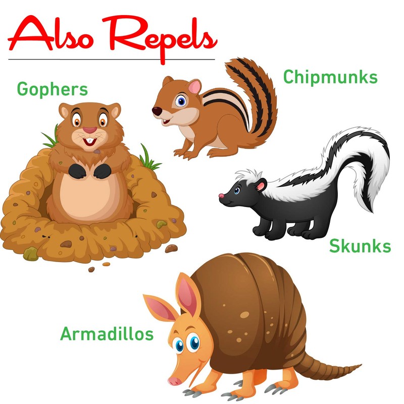 I Must Garden Mole & Vole Repellent Hose End Concentrate: