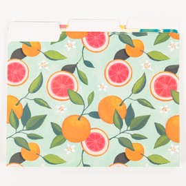 U Brands Fashion File Folders, 1/3-Cut Tabs in Assorted Positions, Letter Size, Office Supplies, 6 Count (Citrus Squeeze)