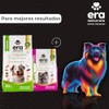 Flex and Mobility Suplemento para Perros con Glucosamina