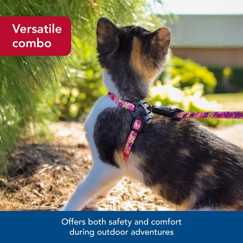 Coastal - Li’l Pals Adjustable Kitten Harness and Leash Combo