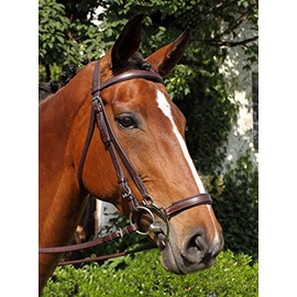 Nunn Finer Lever Noseband- Horse Havana Zinc