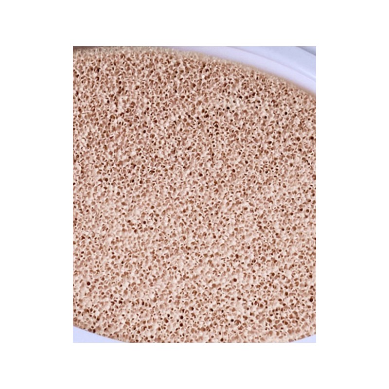 어바웃톤 워터 레이어 핏 쿠션 리필 14g, 19 페어, 1개
