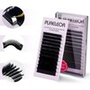 Easy Fan Lashes 0.10 D Curl Single Tray 10mm 2D-20D