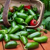 Bonnie Plants Serrano Pepper 19.3 oz. 4 Pack
