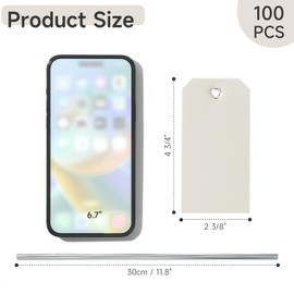 100 Pieces Plastic Shipping Tags with Wires Blank Labeling Tags Waterproof Hang Tags with Reinforcement Hole Durable Wire Tags Labels Stacking Tags for Equipment Parts (Grey, 4 3/4" x 2 3/8")