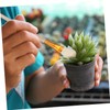 BESPORTBLE Pollination Brush, 8pcs Vegetable Pollinator Succulent Plant Pollination Tools,