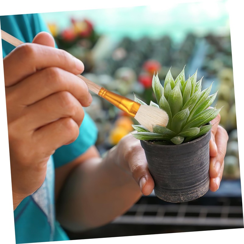 BESPORTBLE Pollination Brush, 8pcs Vegetable Pollinator Succulent Plant Pollination Tools,