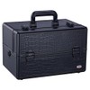 Makeup Train Case 14.5" Professional Cosmetic Organizer Box with Removable/Adjustable