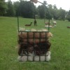 Bird Alpaca Fiber Bird Nester 100% with refill alpaca ready