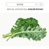 Yebon Bio Curry Kale Curly Kale Curly Kale Benefits Curly