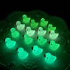 MFUOE Mini Luminous Resin Ducks Realistic Tiny Ducks Glow in