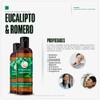 VIDA SCENTS AROMATHERAPY - Aceite Para Masaje Romero y Eucalipto