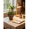 Youfui Elephant Planter for Succulents,Home Office Decor for Plant Lovers