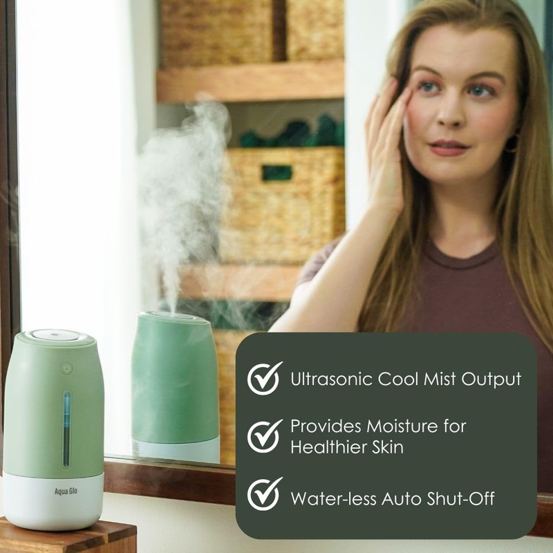 Airvana AG250HUM-V2-S Personal Humidifier, Silver