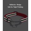 LOS ANDES Dog Choke Collar Martingale Collar with Limited Chain