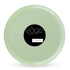 Blue Sky Edge Collection Mint Green Plastic Plates 10.6" -