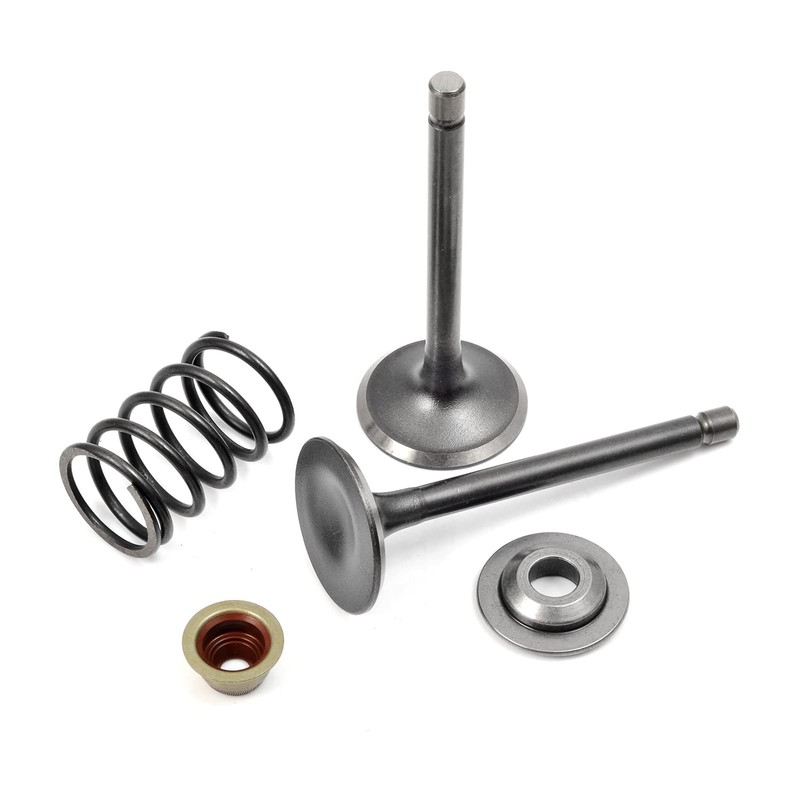 Intake Valve & Exhaust Valve and Seals & Spring &