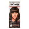 Franck Provost Permanent Colour 4.0 Castanie