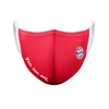 FC Bayern München Community Mask Mouth and Nose Mask RED