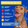 Dogelthy Pack De 2 Multivitamínicos 20 En 1 Para Perros