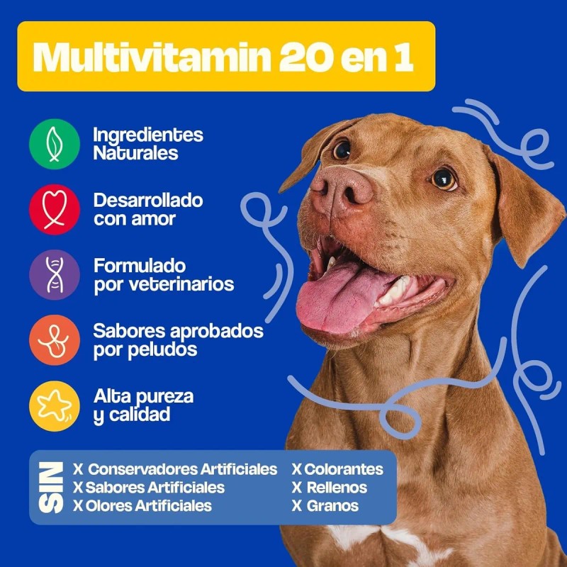 Dogelthy Pack De 2 Multivitamínicos 20 En 1 Para Perros