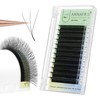 ANNAFRIS 3D W Ready-to-Use Fan Eyelash Extensions, D Curl, 8-15
