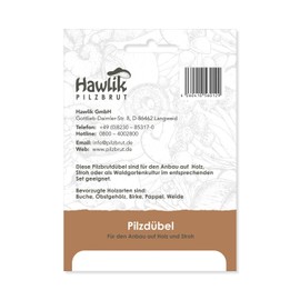 Hawlik Pilzbrut I the Original I Oyster Mushrooms as Dowel Bread to Grow Yourself - Easy to Harvest Fresh Mushrooms - 20 Mushroom Dowels for Growing on Wood and Straw