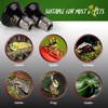 FIVEAGE 50W 4 Pack Mini Ceramic Heat Emitter Reptile Heat