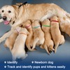 Whaline 20 Colors Puppy Whelping Collars Double-Sided Adjustable ID Collars