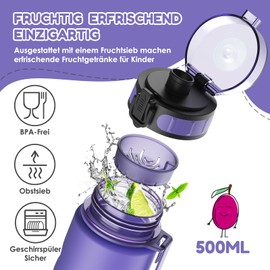 Luyiilo Children's Leak-Proof Drinking Bottle, 500 ml, Suitable for Carbonated Drinks, BPA-Free Drinking Bottle, Drinking Bottle with Fruit Insert and Stickers, Perfect for Nursery, School (Purple)