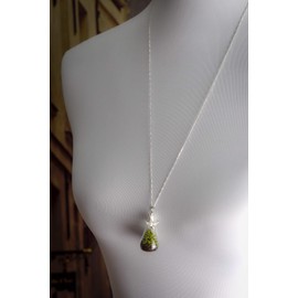 Silver Necklace Real Moss with Earth Pendant - 925 Sterling - 60 cm Necklace - Natural Jewellery