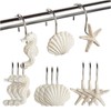 12-Pack of Beach-Themed Shower Curtain Stainless Steel Hooks, Decorative Seashell