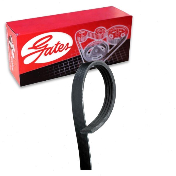 Gates Micro-V Serpentine Belt compatible with Ford Focus 2.0L L4