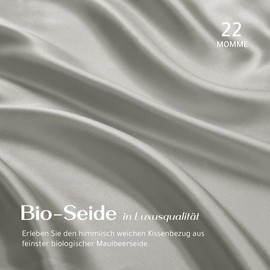 RENESSY Organic Silk Pillowcase 80 x 80 cm - 100% Organic Mulberry Silk, 22 Momme, Naturally Hypoallergenic, Promotes Hair and Skin Health, 1 Piece (Light Grey)