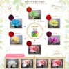 Flower Palette, Cut Flower Dye, Free Research, Flower Arrangement, Gift