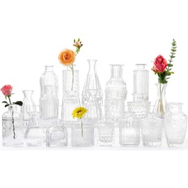 Glass Bud Vases -Set of 20 for Flowers, Small Clear Bud Vases in Bulk for Centerpieces Home Decor, Mini Glass Vase Assorted for Rustic Wedding,Floral Arrangements,Home Table Decorations