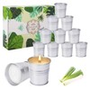 LIAILA Pack of 12 Citronella Candles Outdoor for Outdoor Use, Scented Candles, Scented Candles Gift Set, Suitable for Balcony, Patio, Birthdays, Holidays, Weddings, Up to 240 Hours