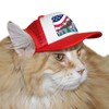 PupLid Trucker Hats for Cats (Large Cats) Premium Stylish Sun